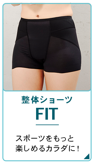 FIT ボタン