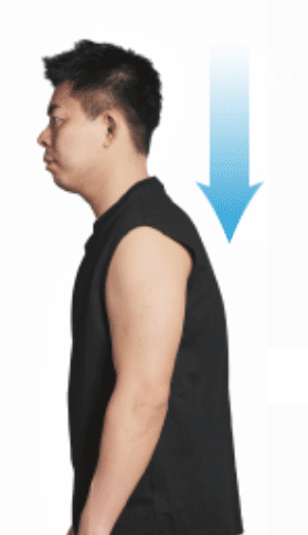 W力点構造動画