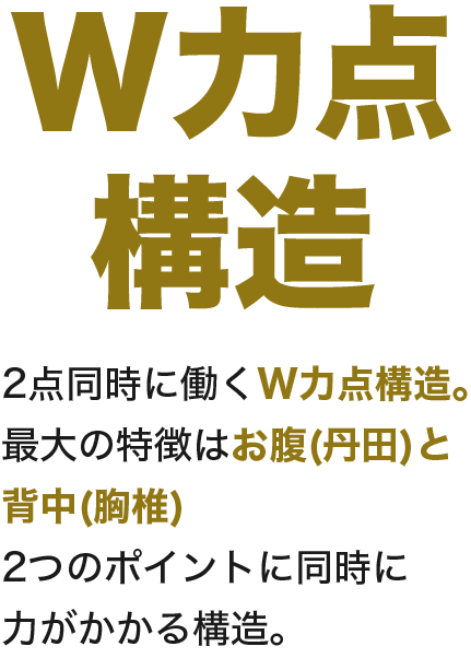 W力点構造テキスト