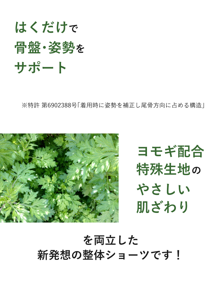 新発想の整体ショーツです！