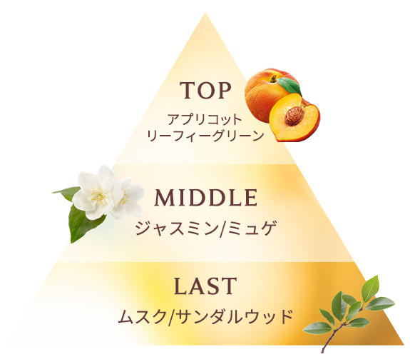 ボンリペアオイル