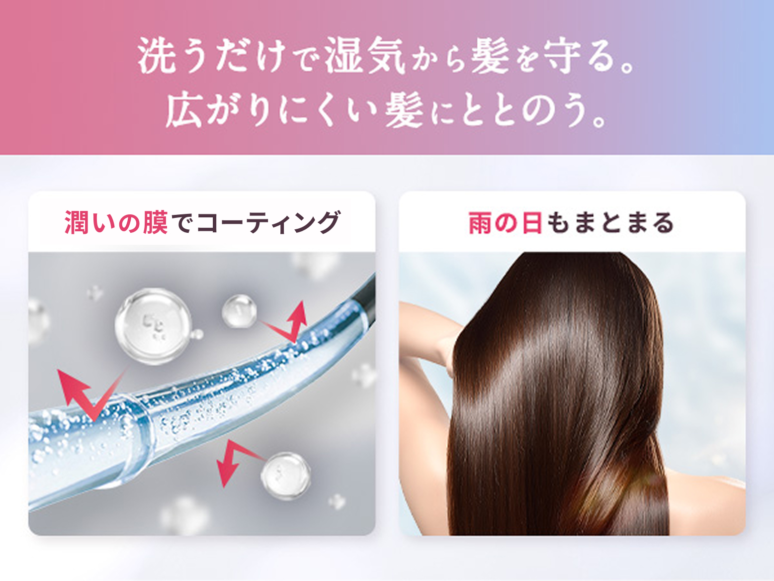 ボンモイストシャンプー