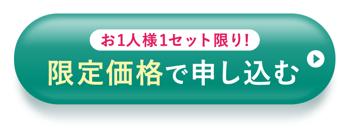 限定価格で申し込む