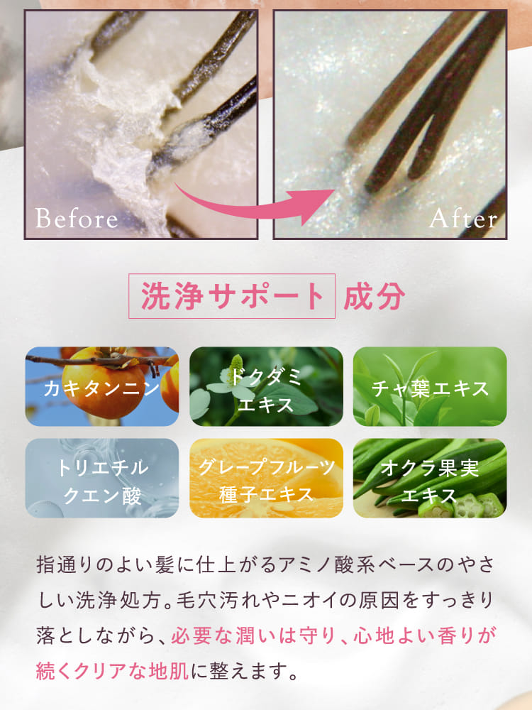 洗浄サポート成分