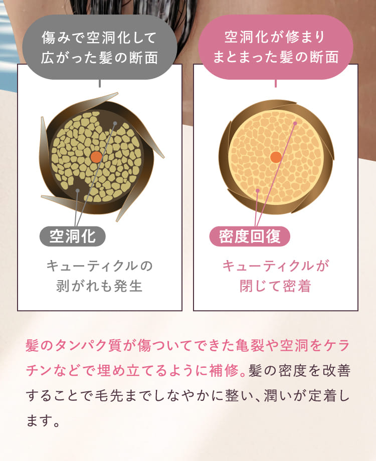 空洞化が修まりまとまった髪の断面