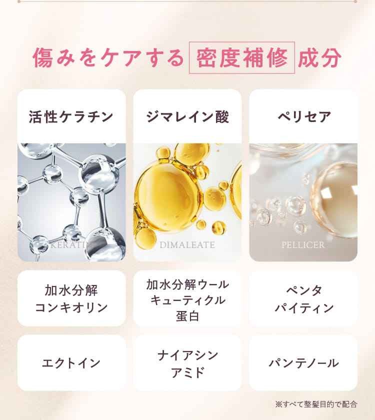 傷みをケアする密度補修成分
