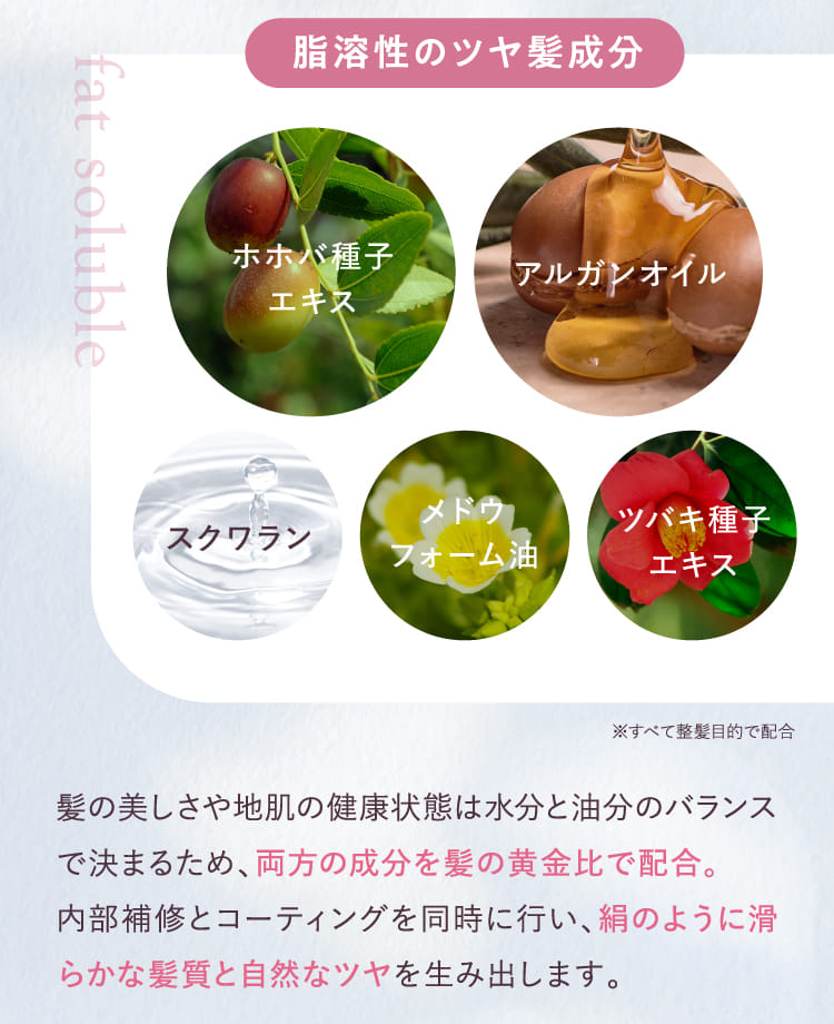 脂溶性のツヤ髪成分