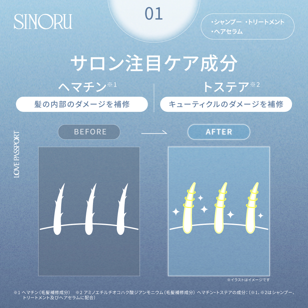 【ネコポスでお届け】ラブパスポート シノル シルキーソフト シャンプー＆トリートメント詰め替えセット 