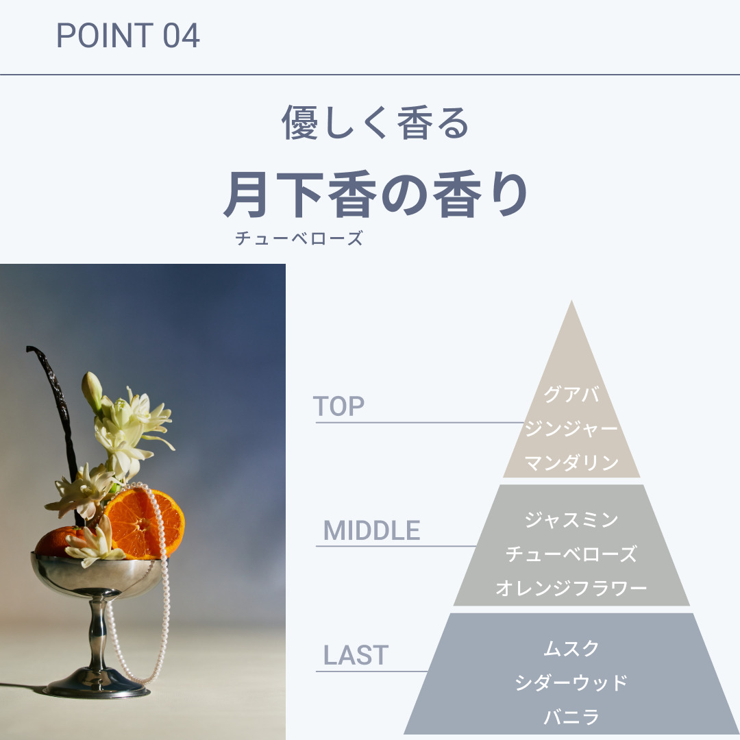 ラブパスポート シノル トータルステップセット