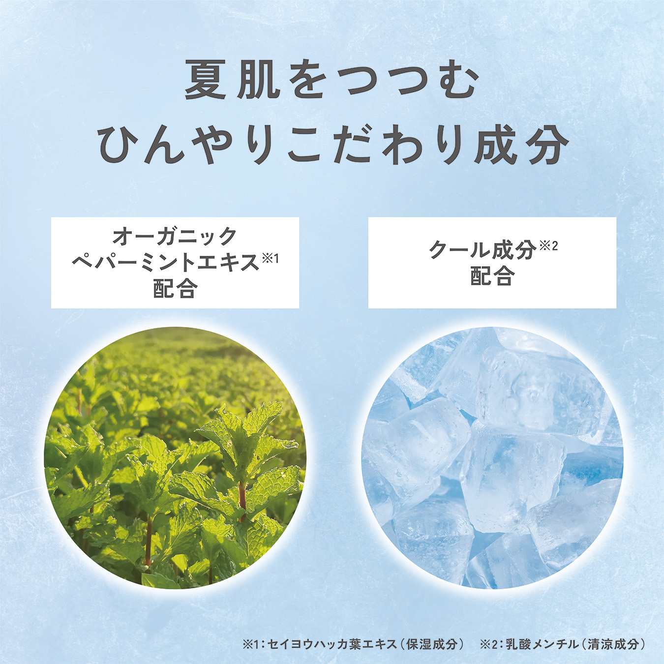 レールデュサボン エアオアシス アイスフレグランスウォーター スタートウィズ 60mL