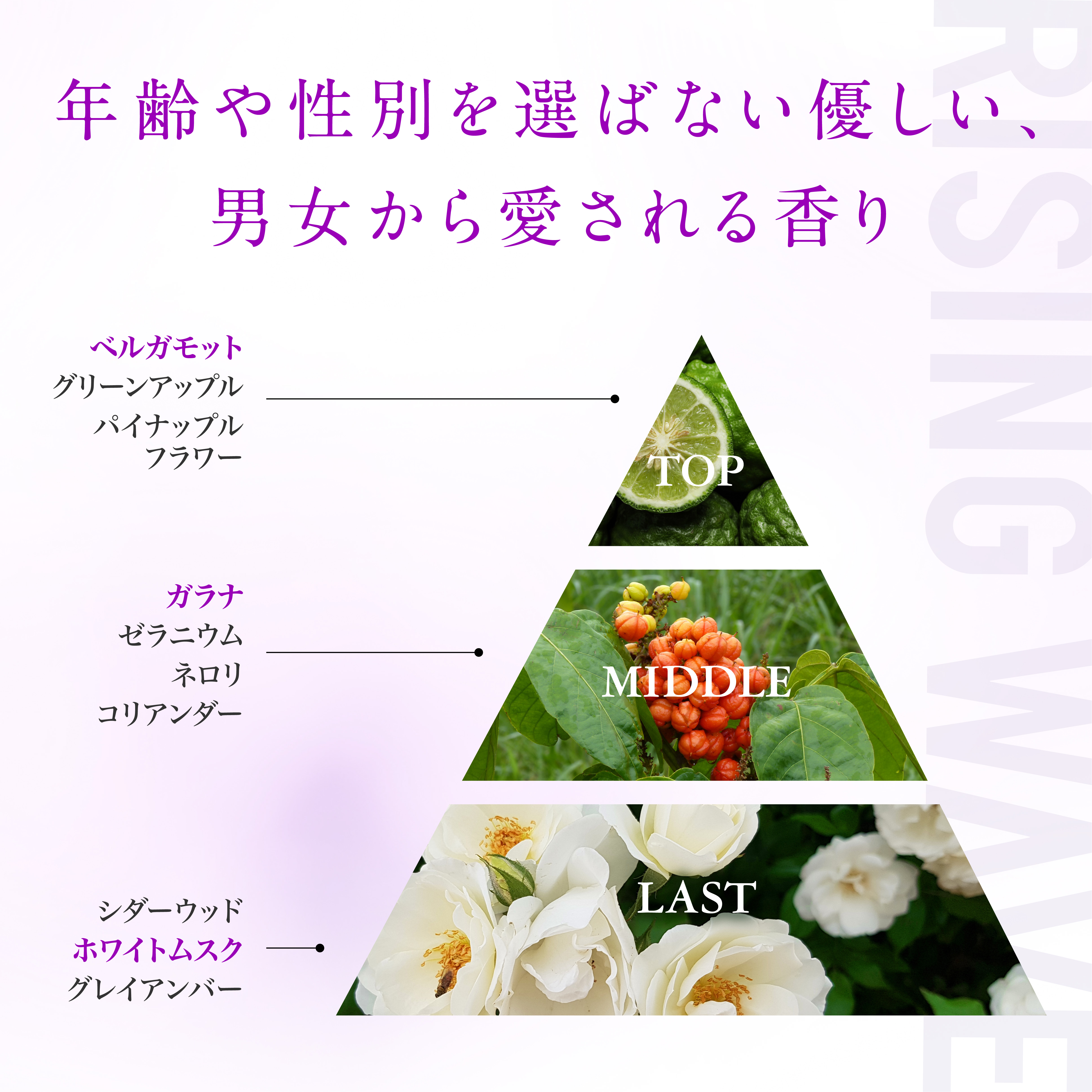 【数量限定】ライジングウェーブ ゼロエクスタシー オードパルファム 100mL（ミニボトル付き）