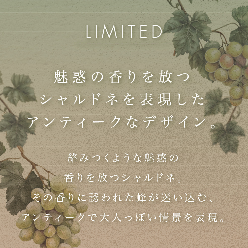 ヴァシリーサ ヌード ワン シャルドネ オードパルファム 40mL