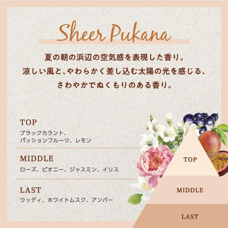 【数量限定】プア ナナラ シアープカナ オードトワレ 50mL（ハンドクリーム付き）