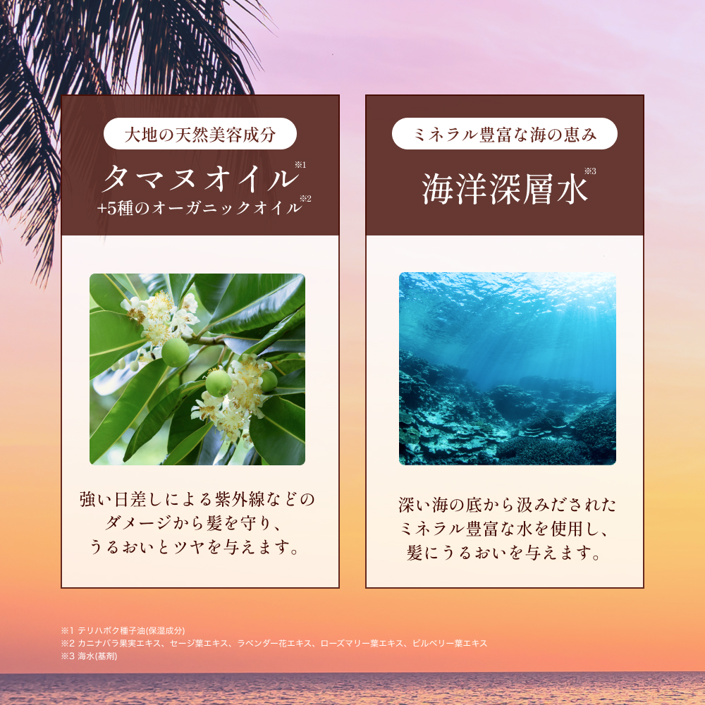 プアナナラ シャンプー 詰め替え 350mL