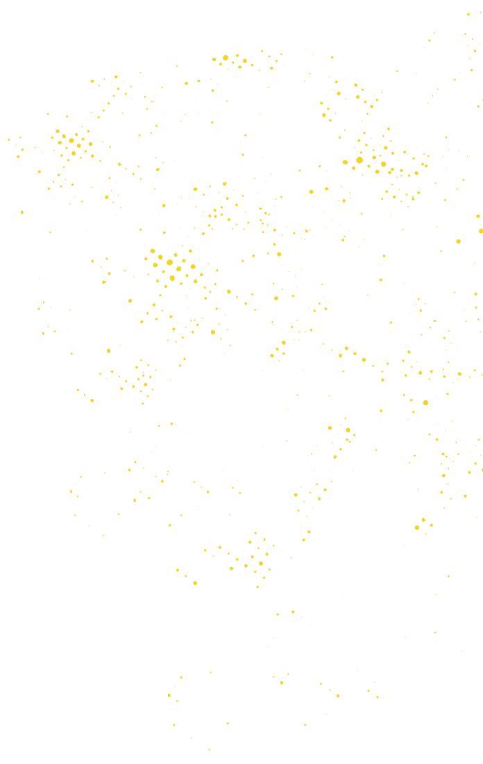 CAMPAIGN 03