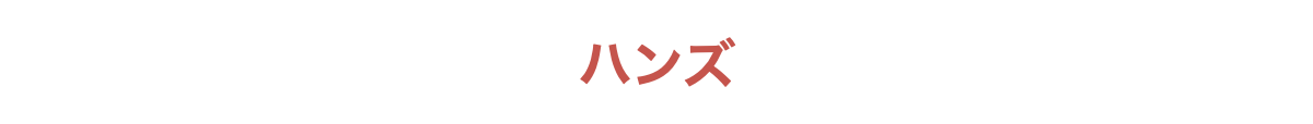 ハンズ