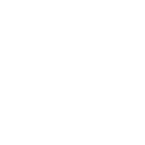 MECHANISM