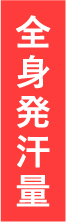 全身発汗量