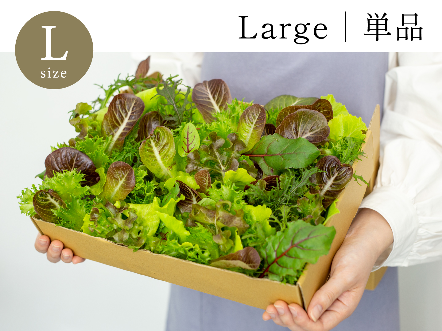 Large｜単品 常備野菜