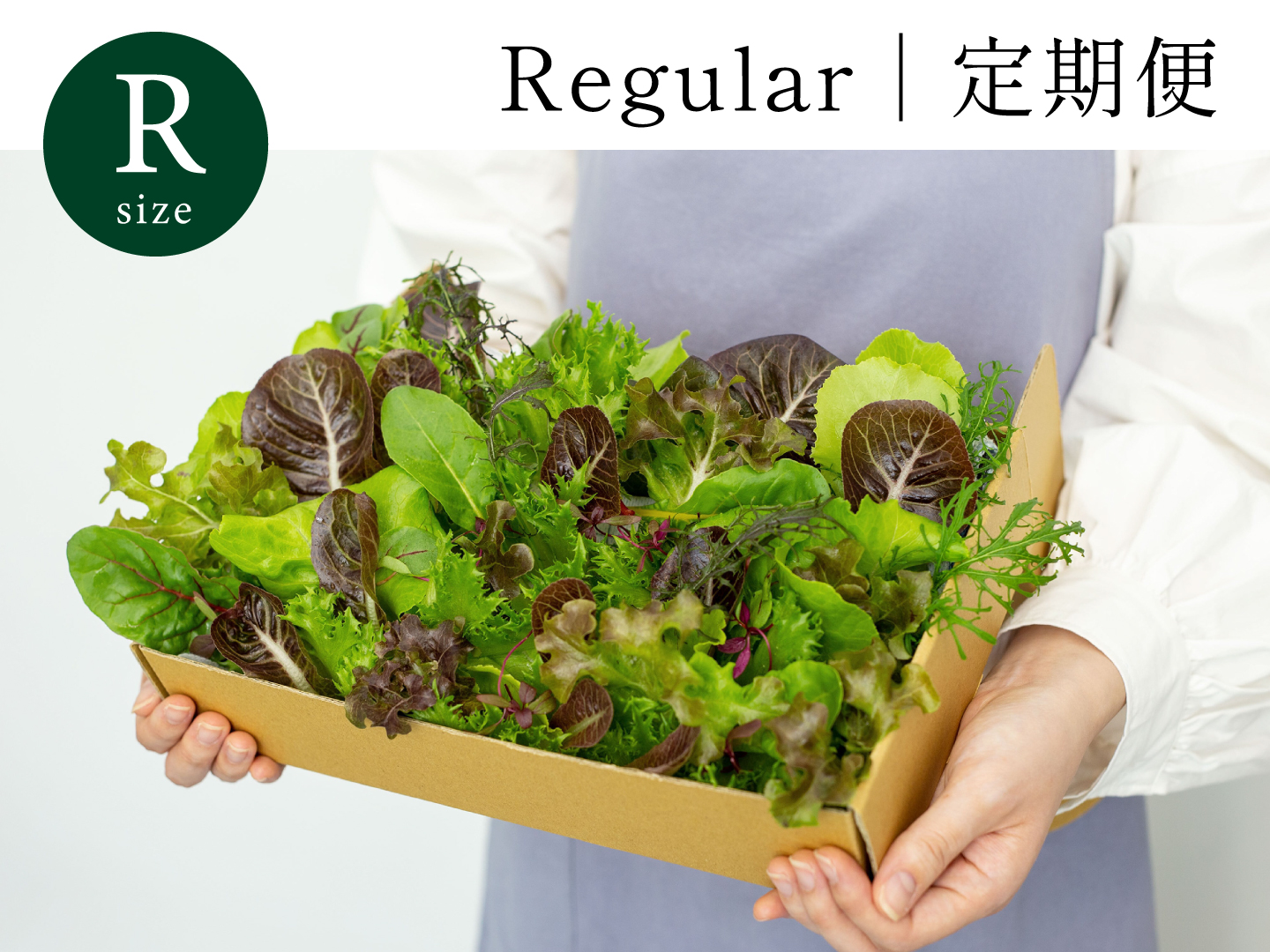 Regular｜定期便 常備野菜