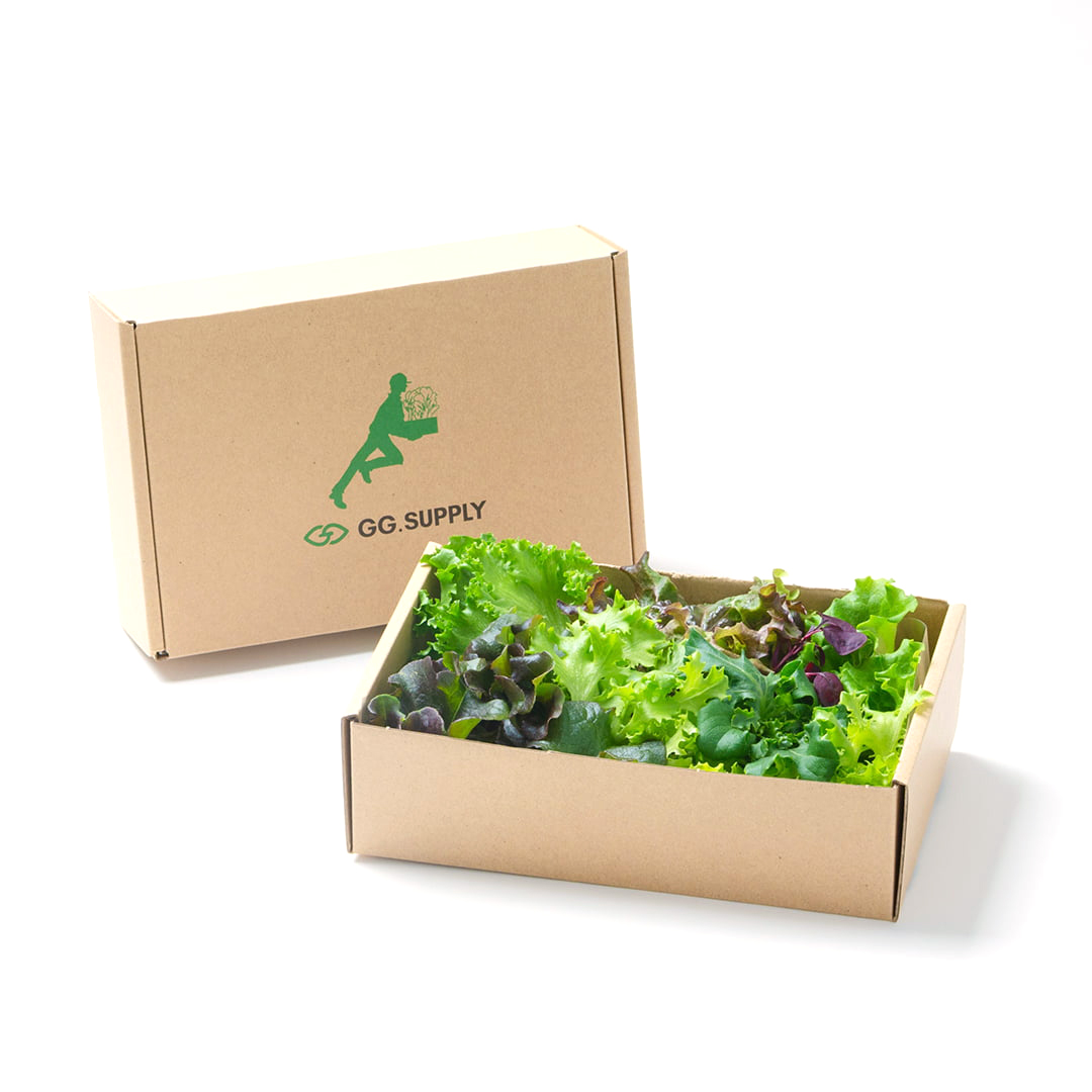 【店頭受取】 Regular｜単品 常備野菜