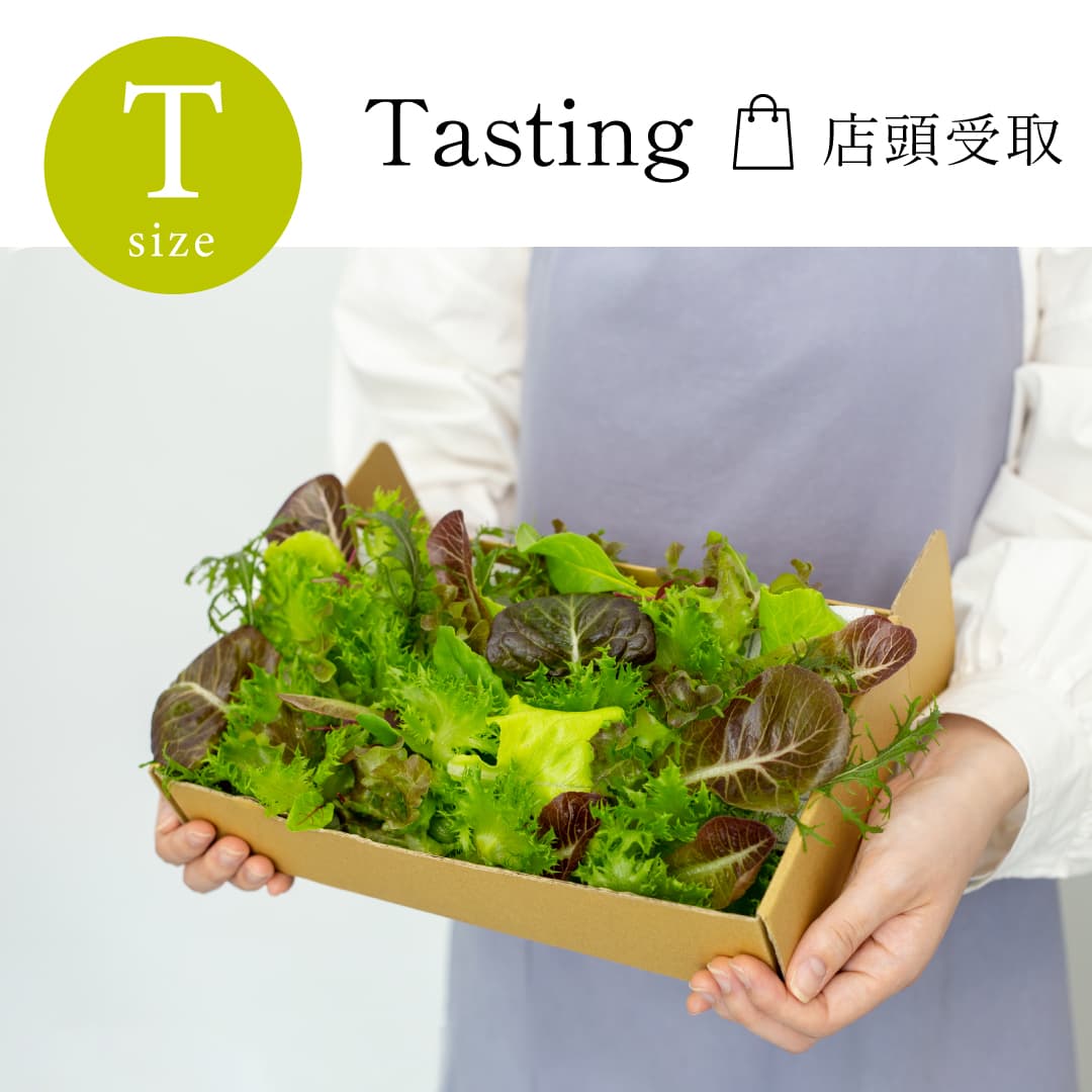【店頭受取】 Tasting｜単品 常備野菜