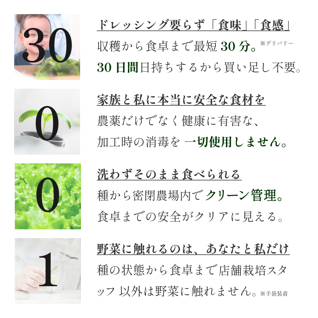 Large｜単品 常備野菜