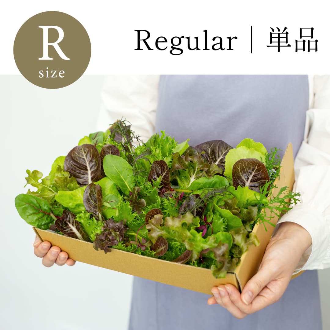 Regular｜単品 常備野菜
