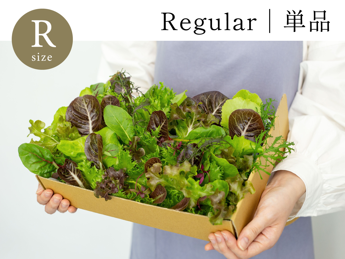 Regular｜単品 常備野菜