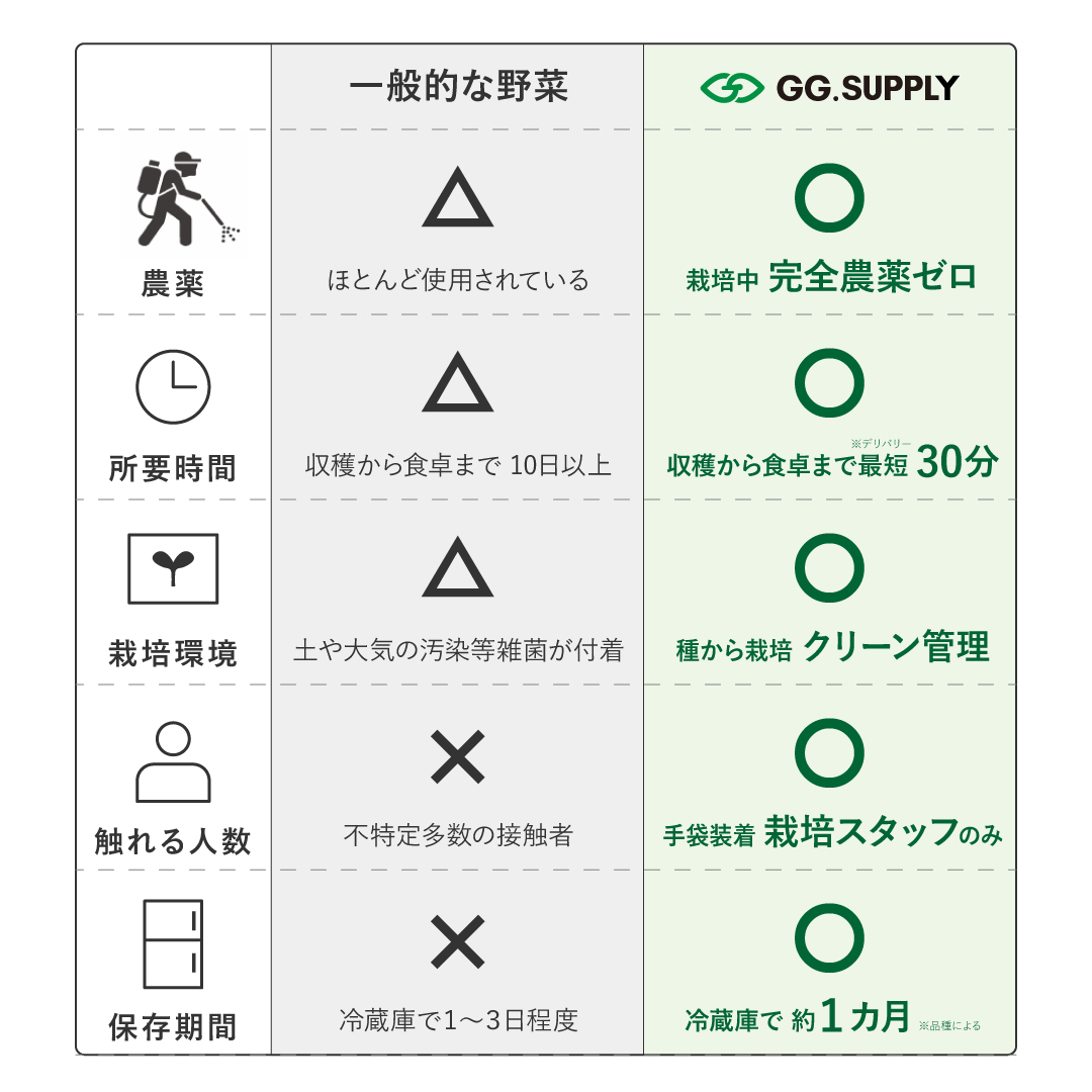 Large｜単品 常備野菜