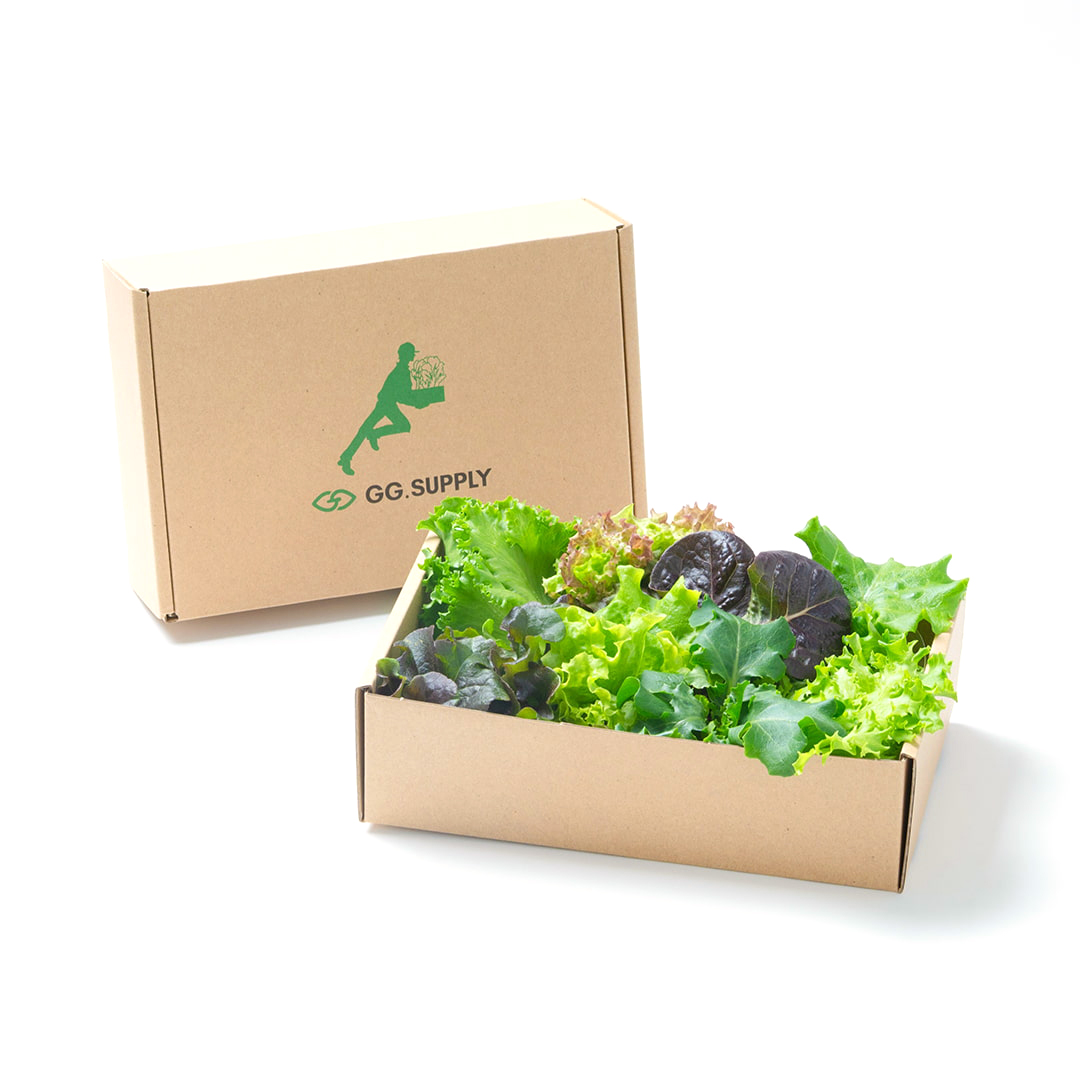 Tasting｜単品 常備野菜