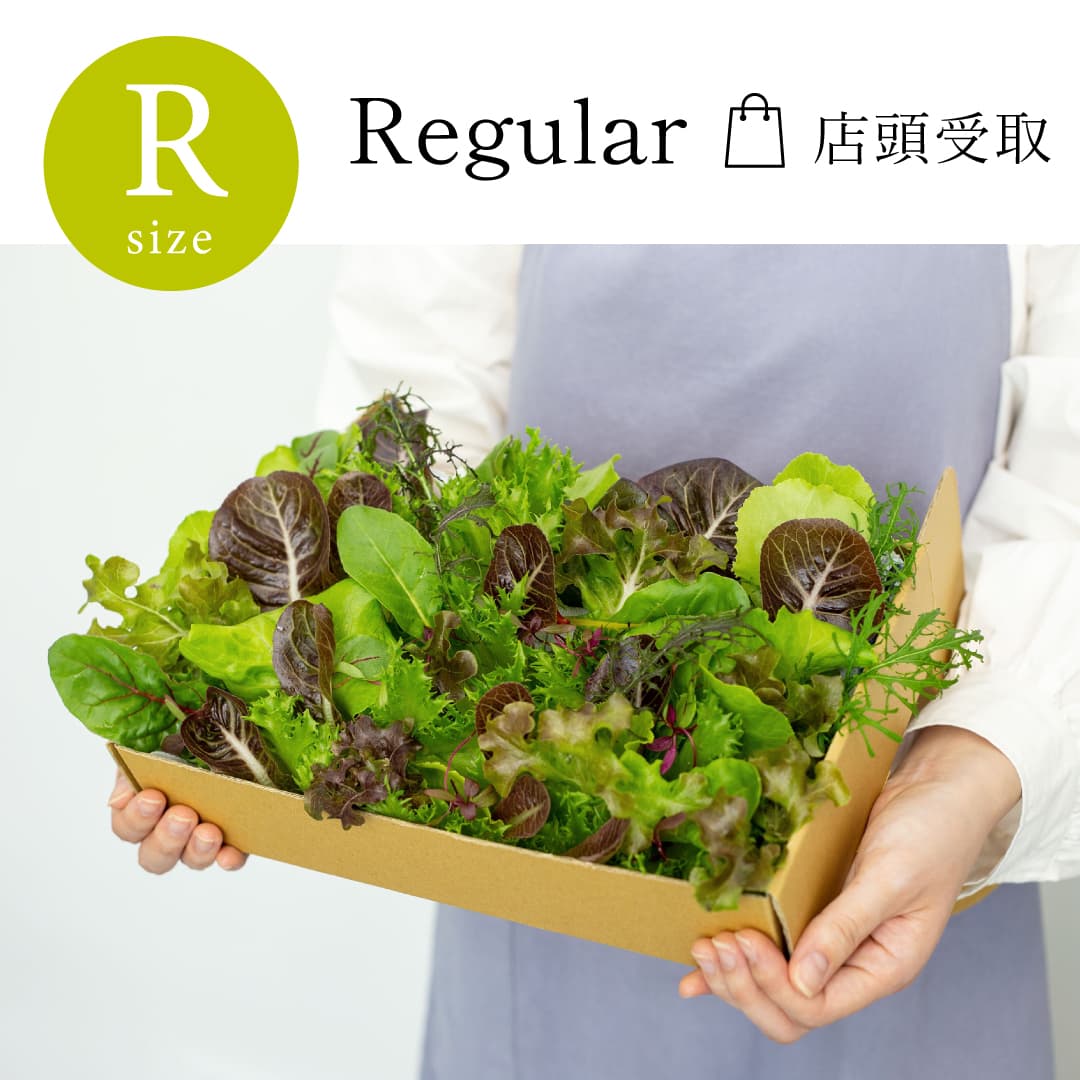 【店頭受取】 Regular｜単品 常備野菜