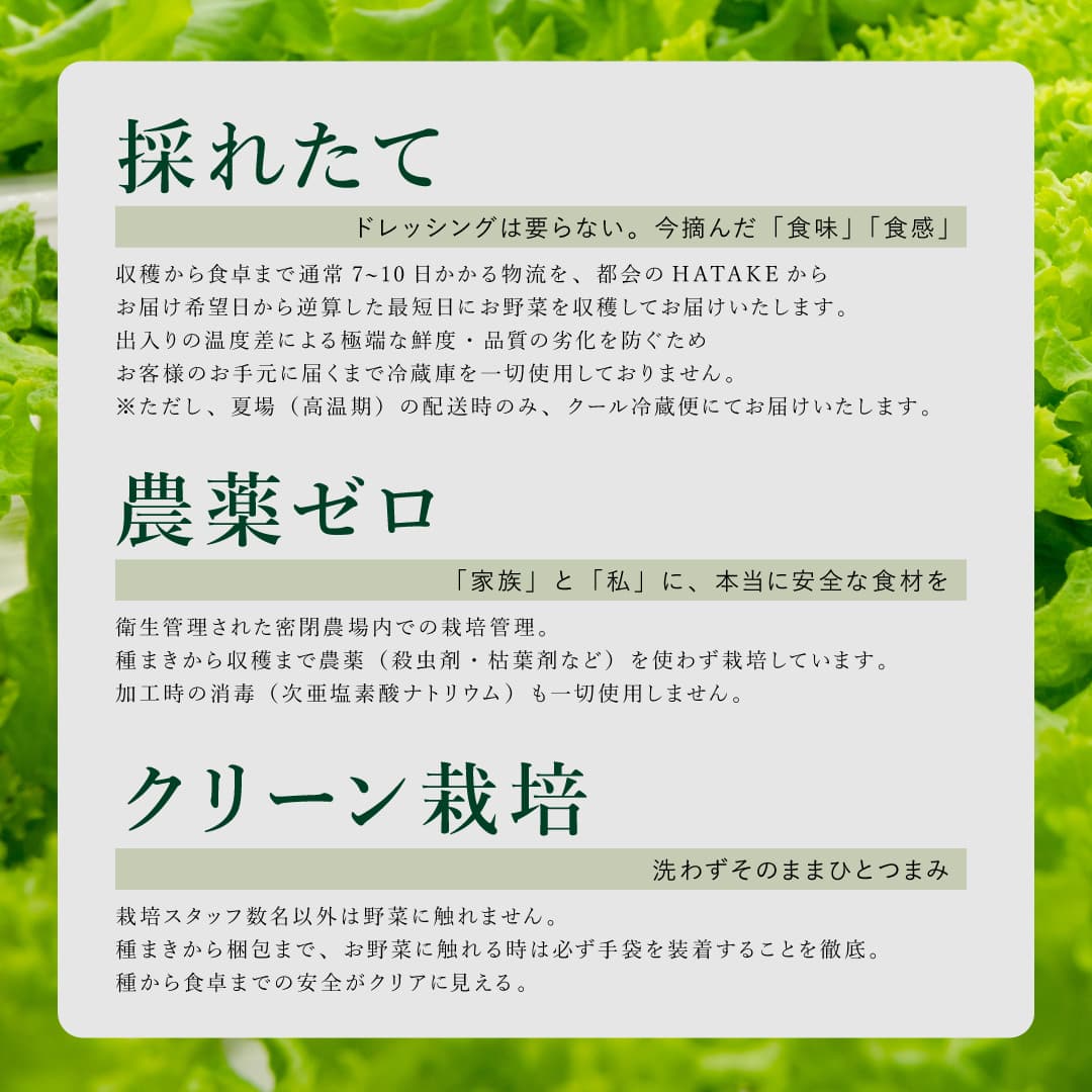 Regular｜単品 常備野菜