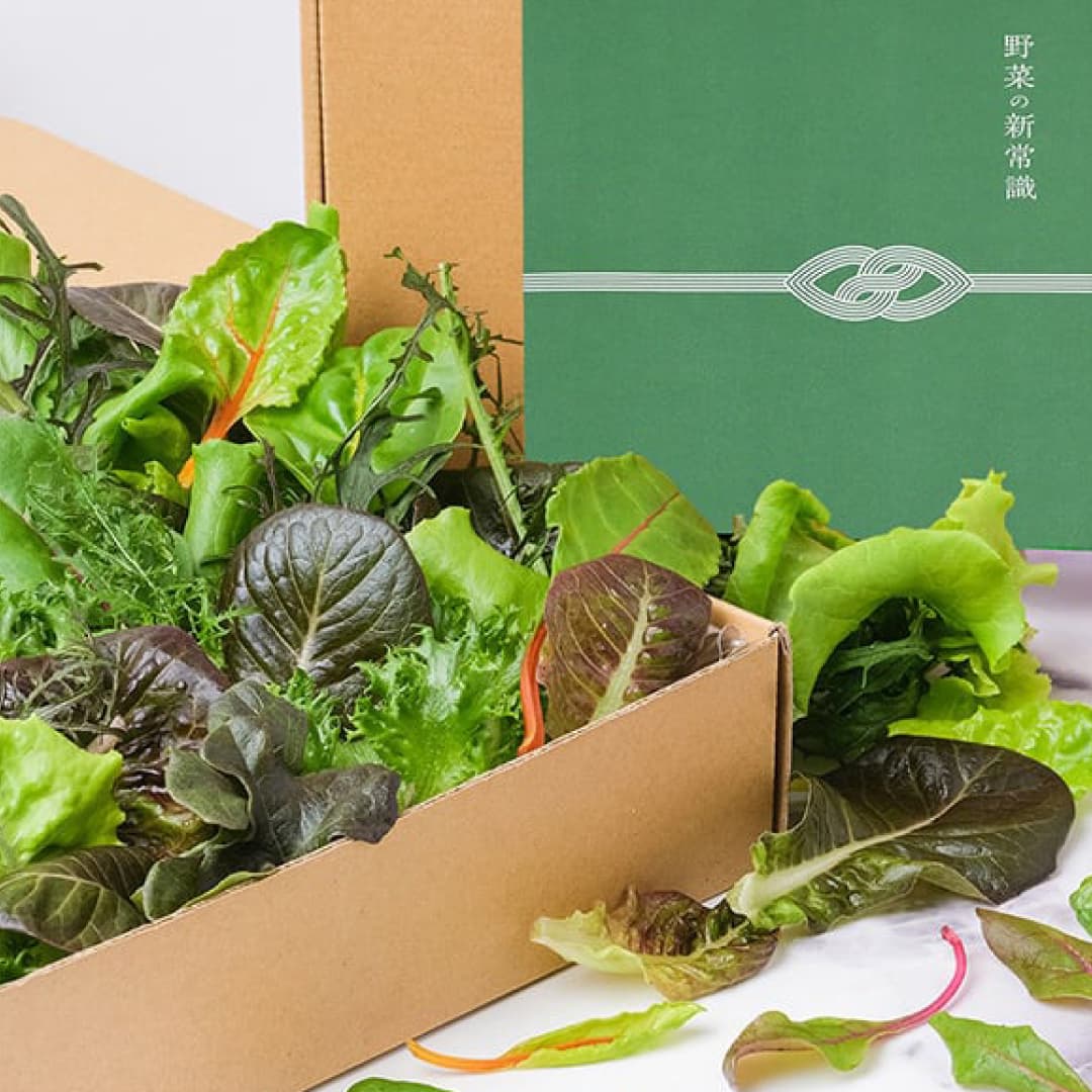 ギフト│常備野菜の贈り物