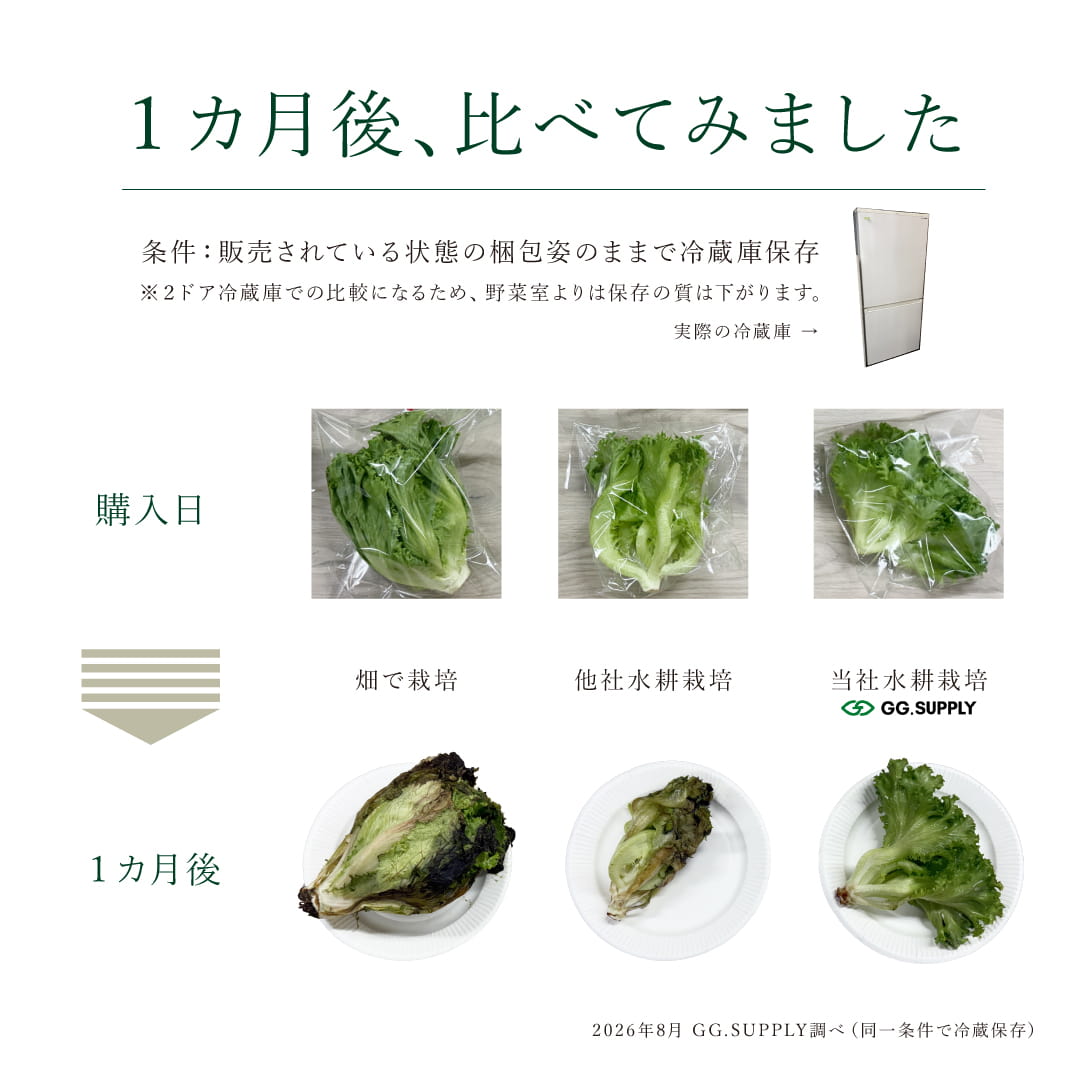 Regular｜定期便 常備野菜