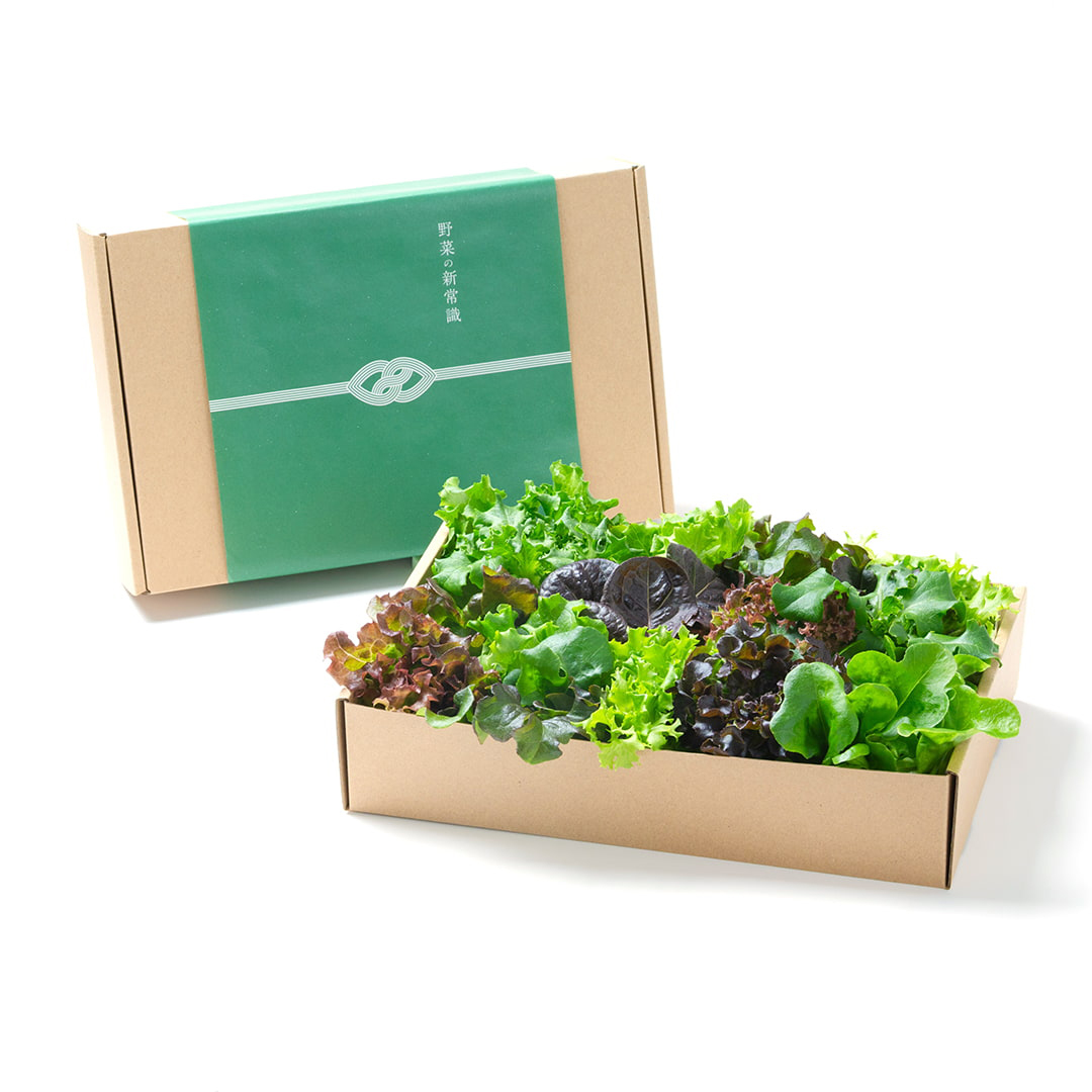 ギフト│常備野菜の贈り物