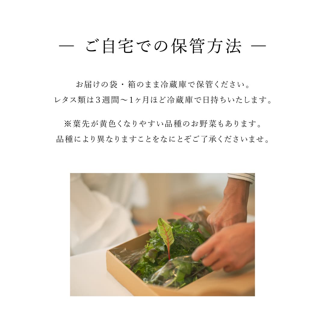 【店頭受取】 Tasting｜単品 常備野菜