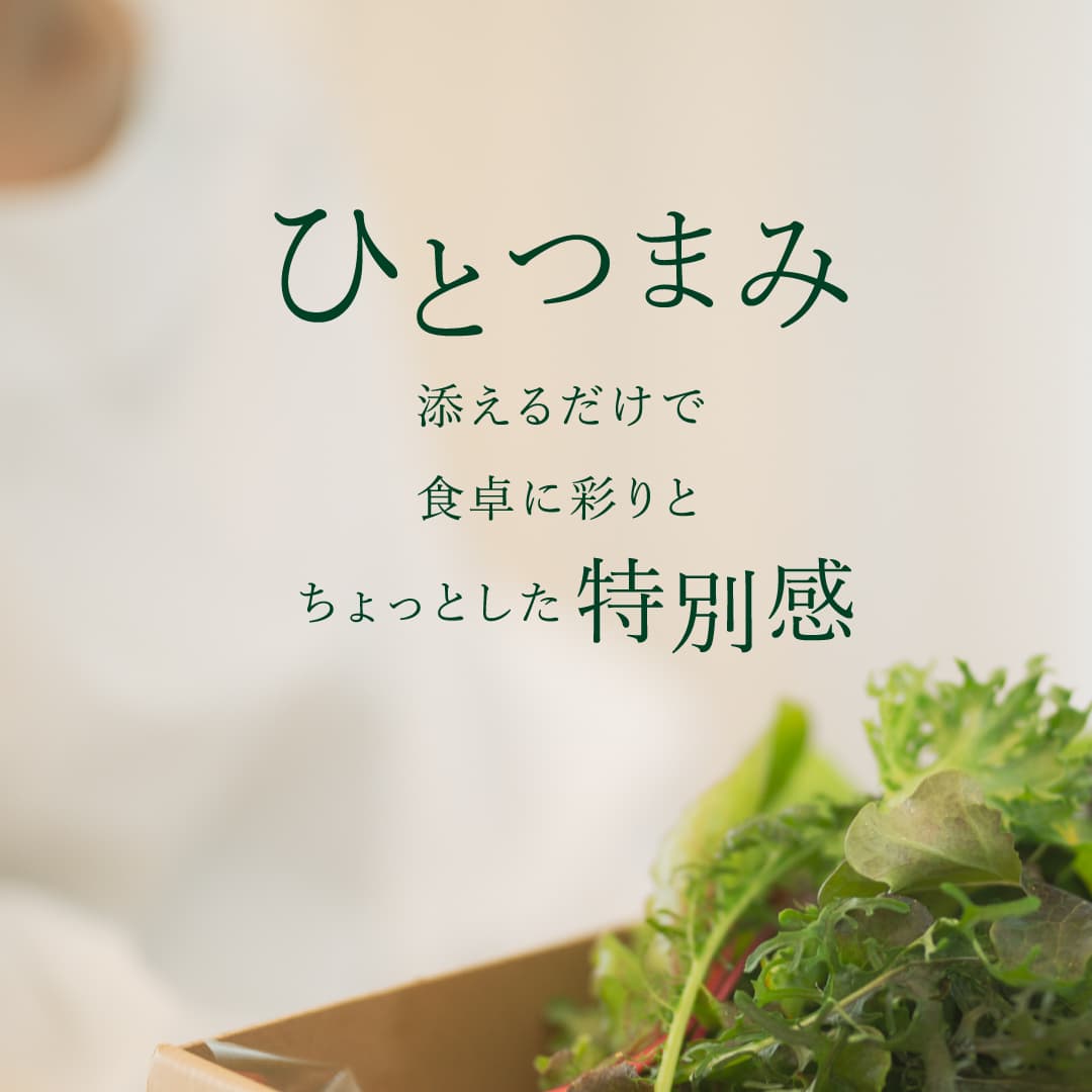 【店頭受取】 Regular｜単品 常備野菜