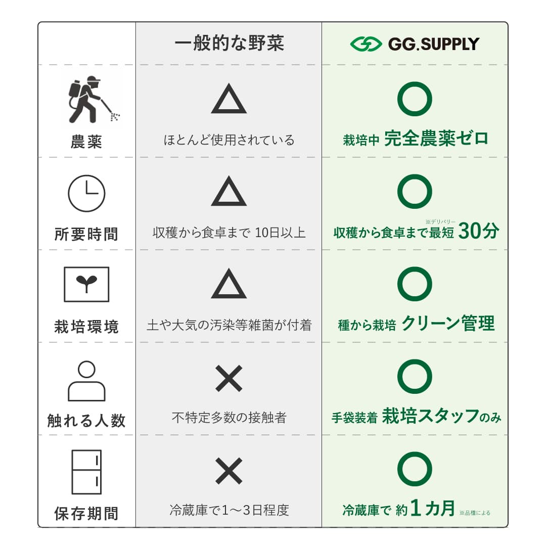 Large｜単品 常備野菜