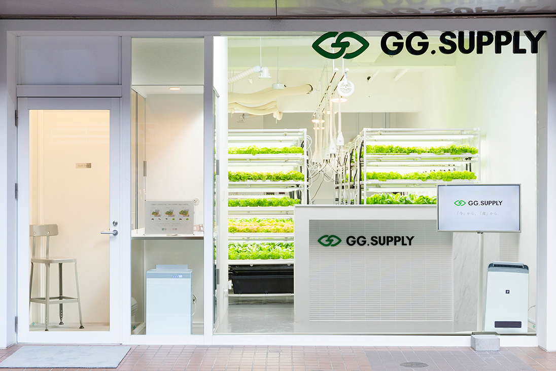 GG.SUPPLY