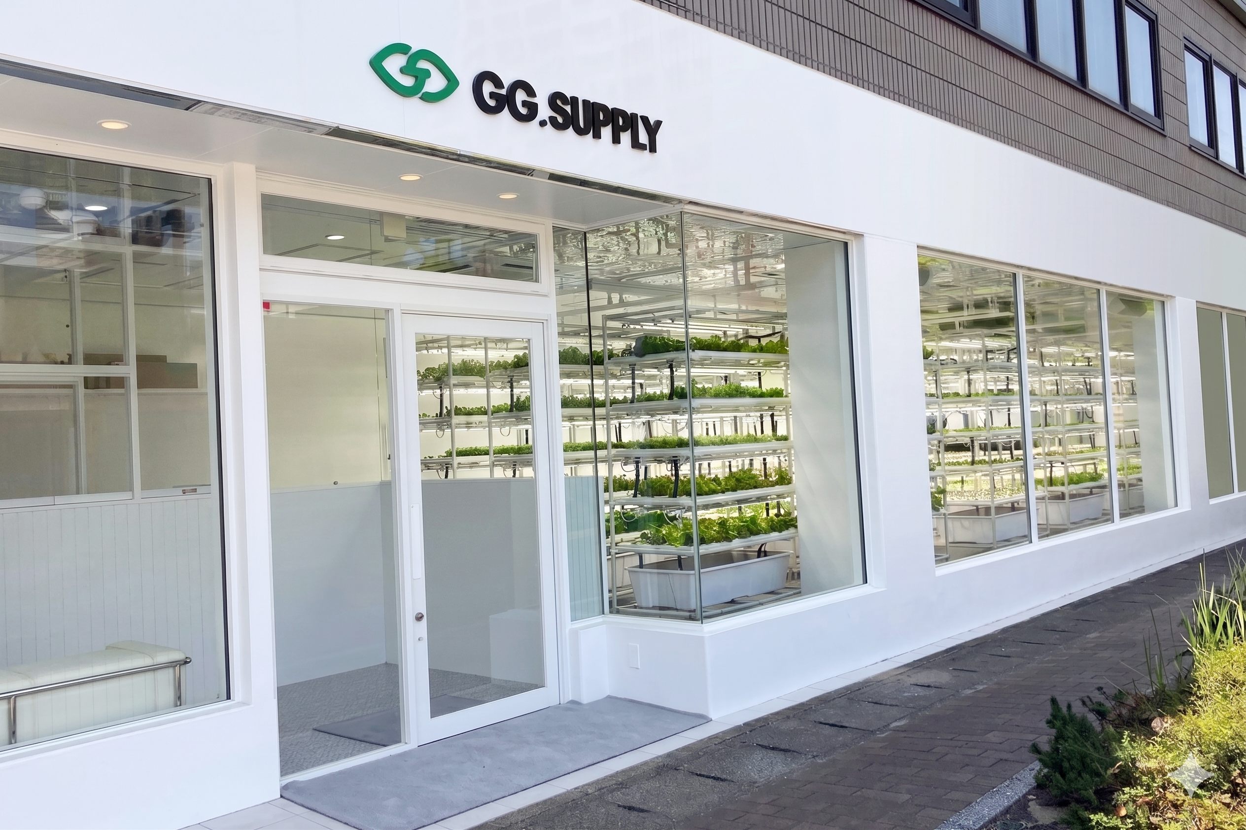 GG.SUPPLY