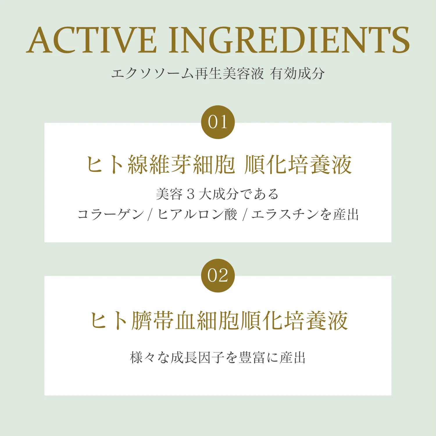 エクソソームセラム