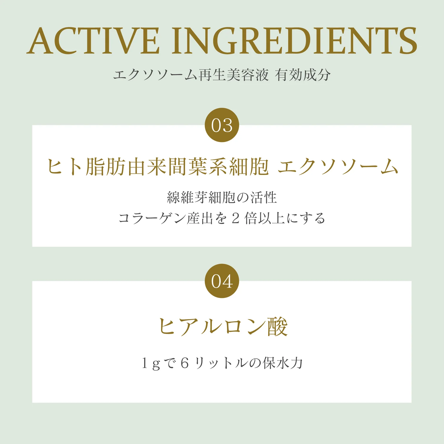 エクソソームセラム