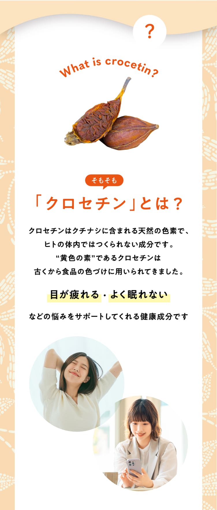 「クロセチン」とは？