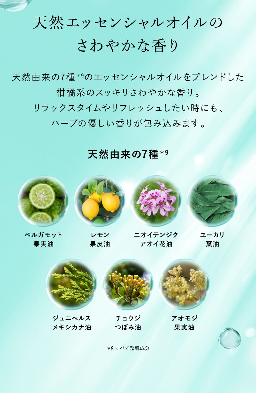 ピュレア クリアリポエッセンスマスク