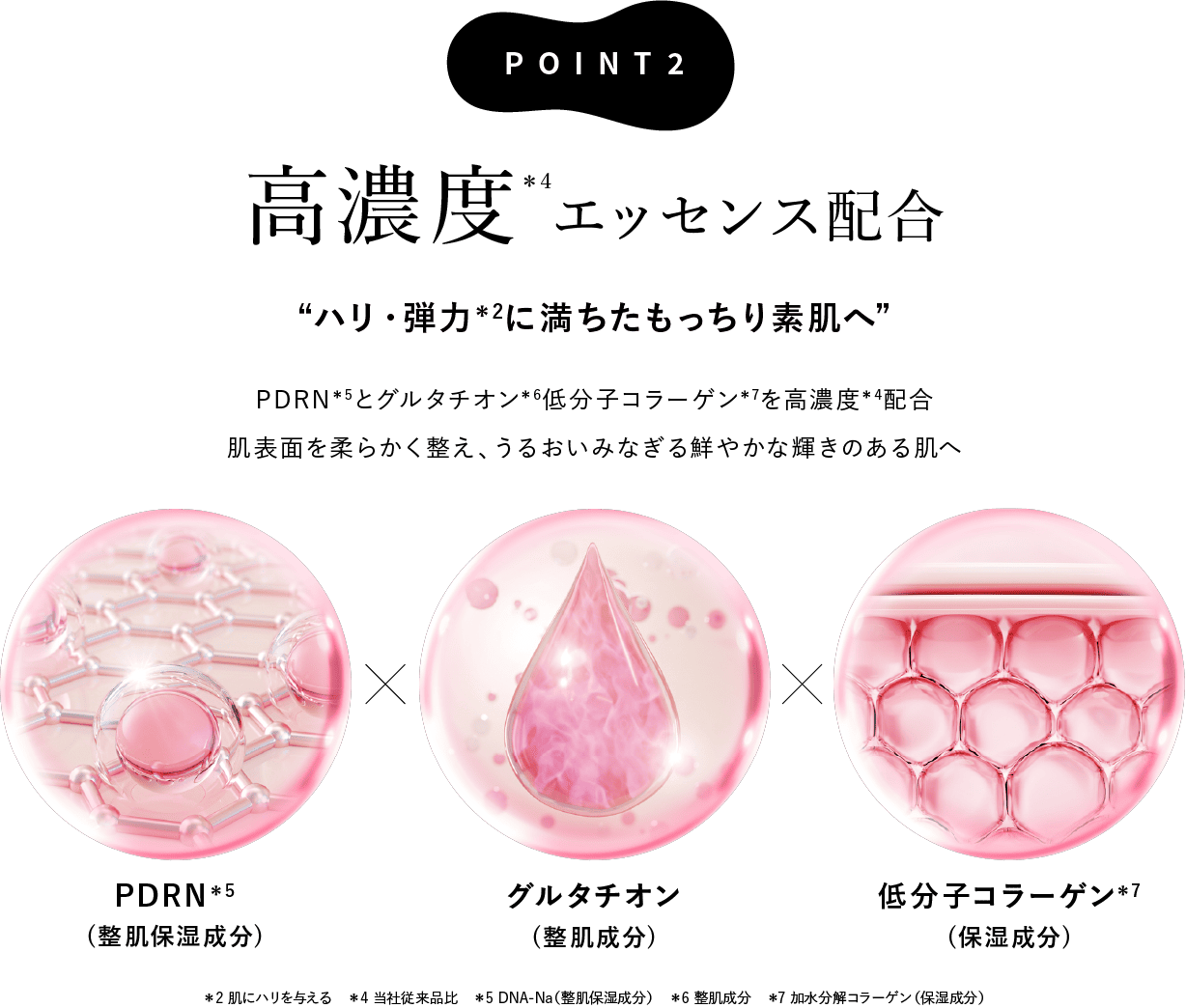 Point 2 高濃度エッセンス配合