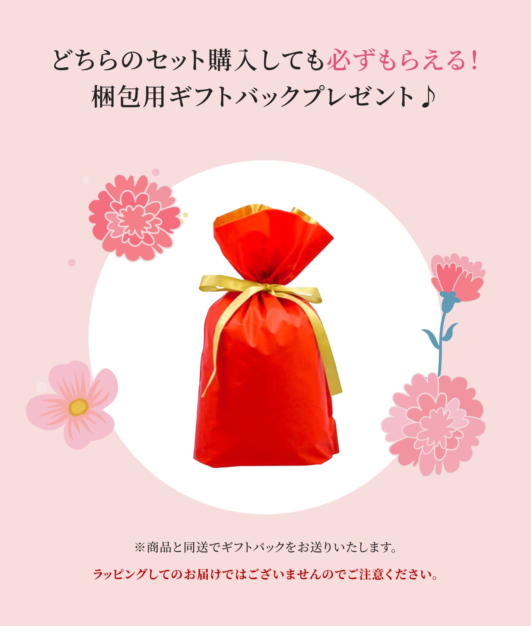 どちらのセット購入しても必ずもらえる！梱包用ギフトバックプレゼント♪
