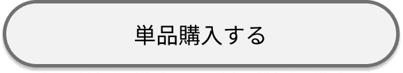 浄化ミストお守り 単品価格 3,300(税込・送料無料)