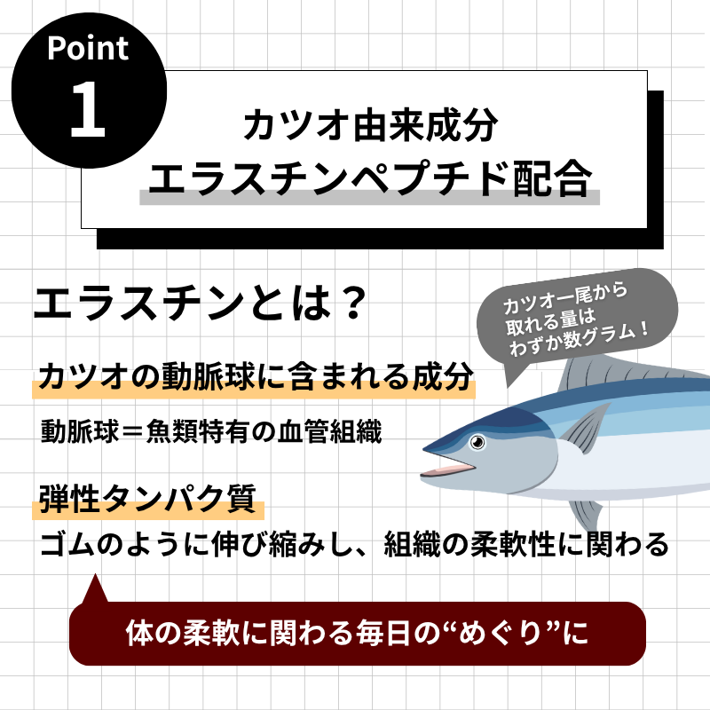 Dr.エラスチンアミノ（単品）