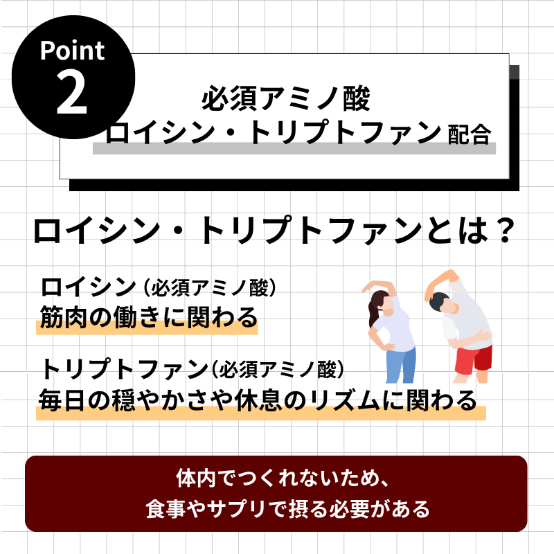 【定期便】Dr.エラスチンアミノ（毎月1袋お届け）